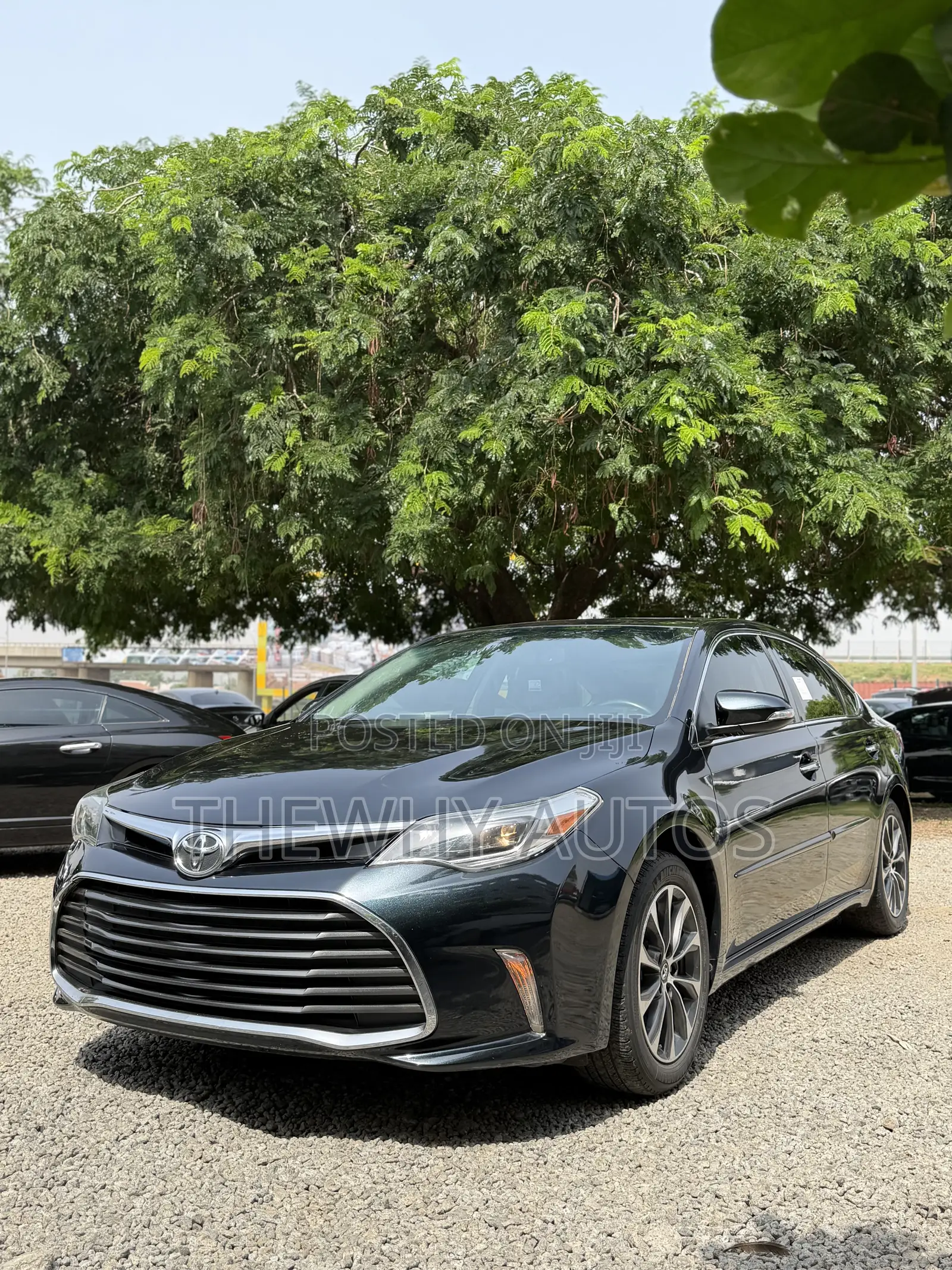 Toyota Avalon XLE Premium FWD Sedan (3.6L 6cyl 6A) 2016 Blue