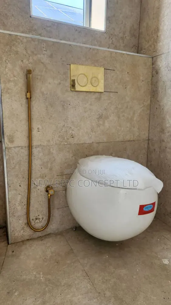 Wall Hung Toilet Seat With Gold Button and Complete Accessories