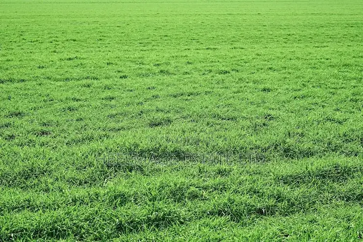 Farmland In Gaube Kuje