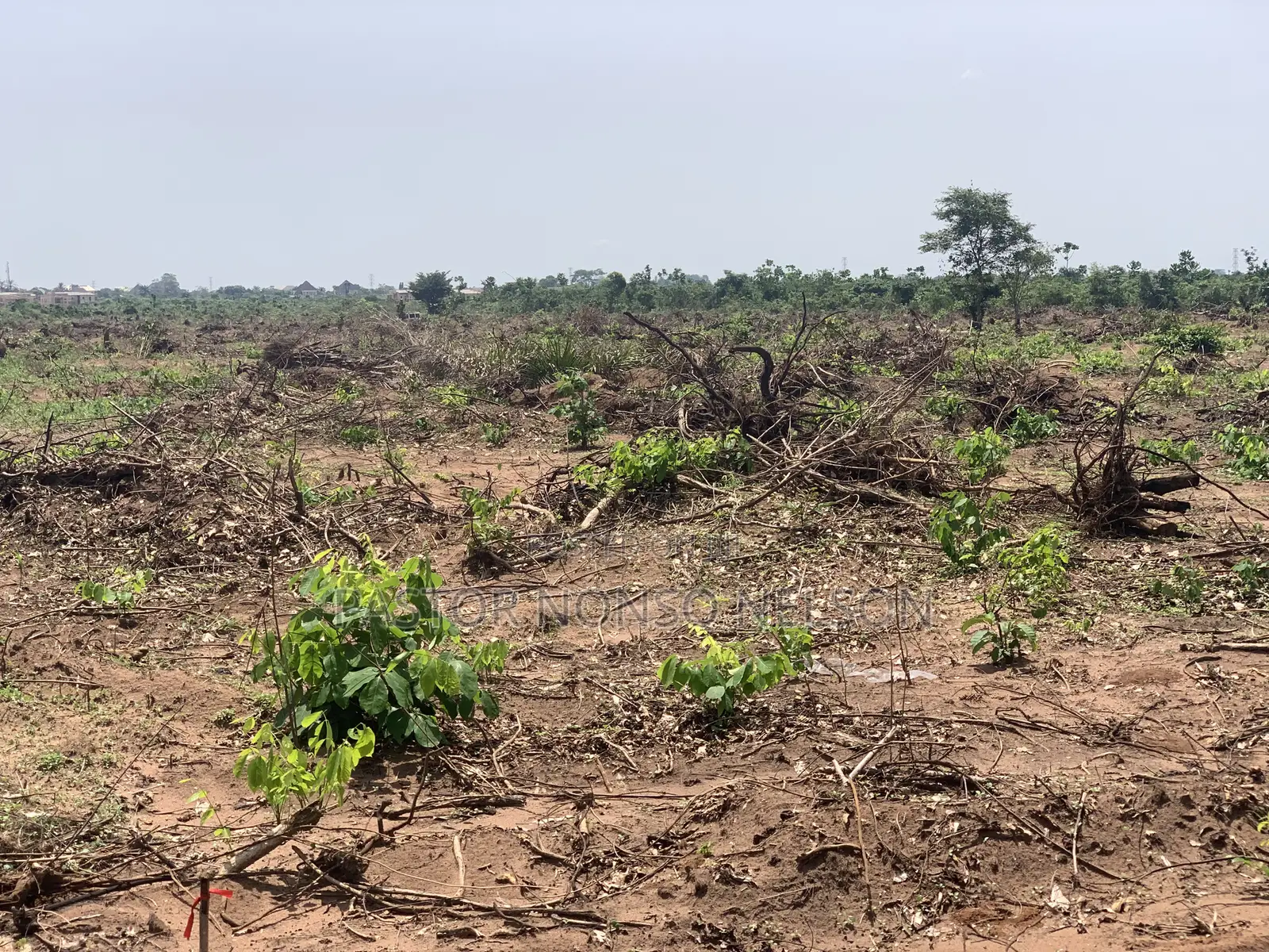 150plots at Umuapu for Sale
