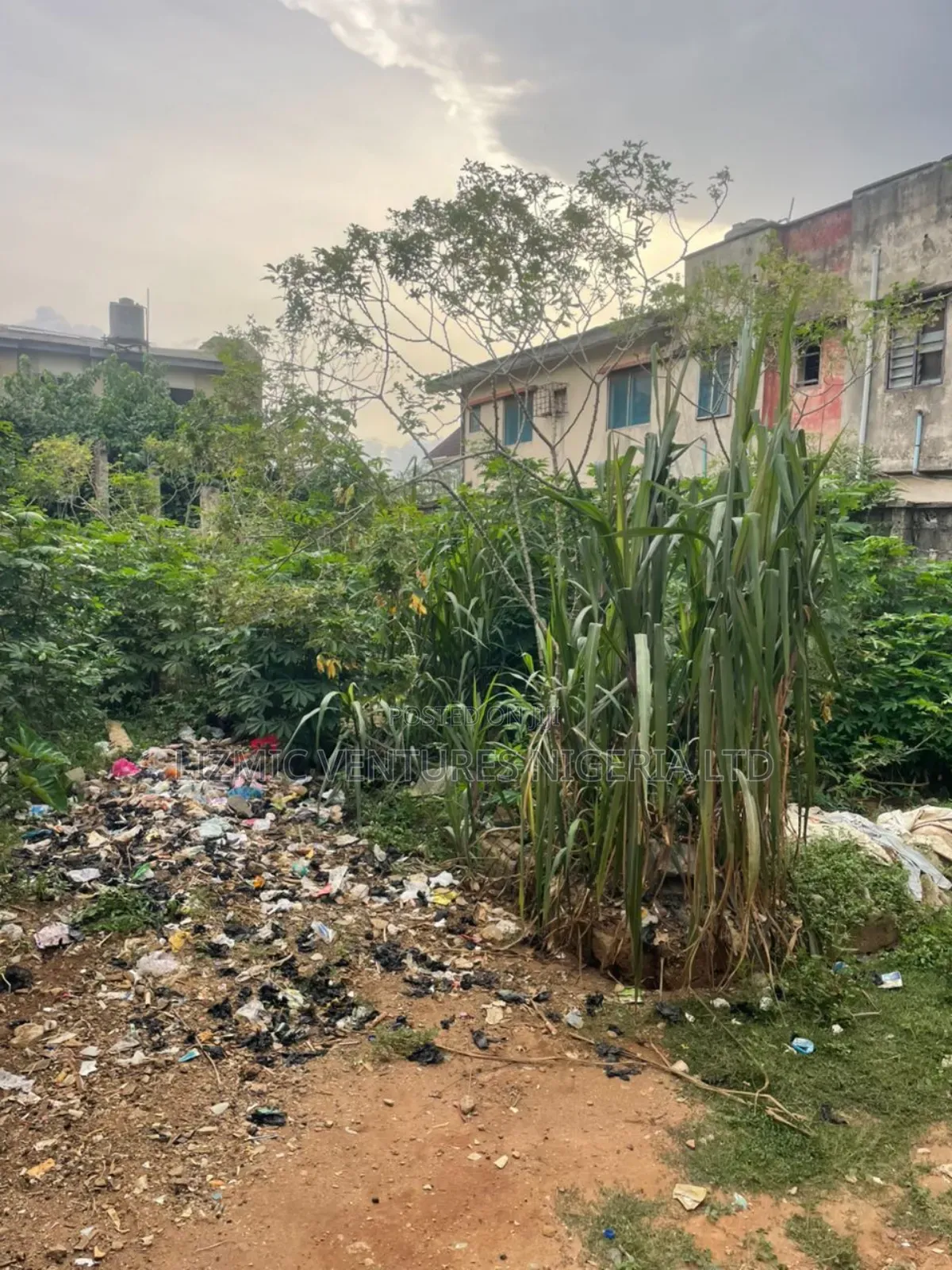 Virgin Land Half Plot for Sale