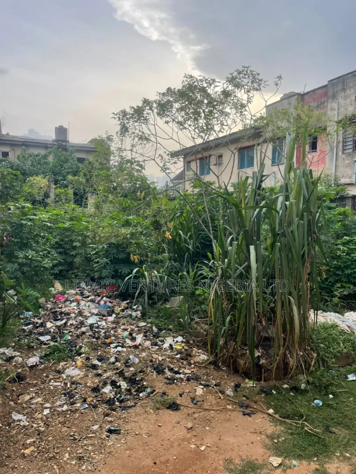 Virgin Land Half Plot for Sale