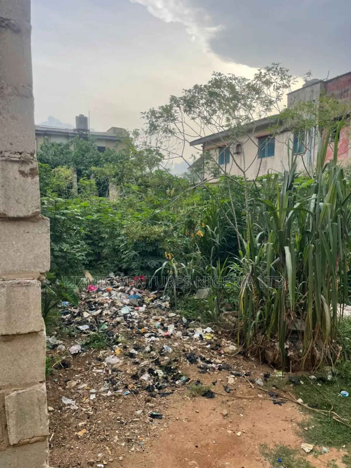 Virgin Land Half Plot for Sale