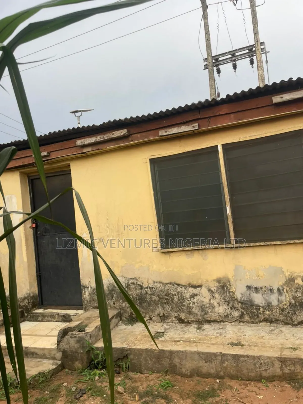 Virgin Land Half Plot for Sale