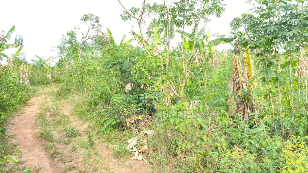 100 Acres of Land Is Available for Sale Sotunbo, Sagamu, Ogun State