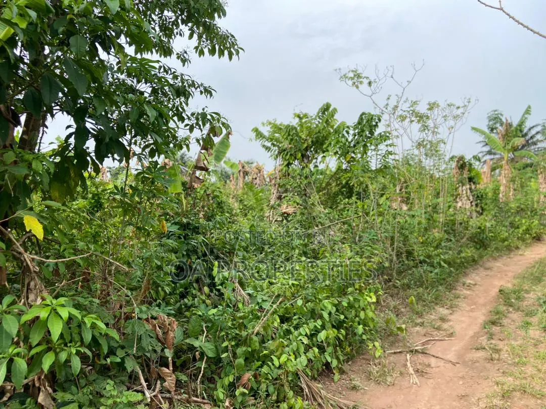 100 Acres of Land Is Available for Sale Sotunbo, Sagamu, Ogun State