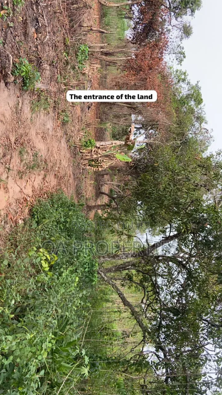 100 Acres of Land Is Available for Sale Sotunbo, Sagamu, Ogun State
