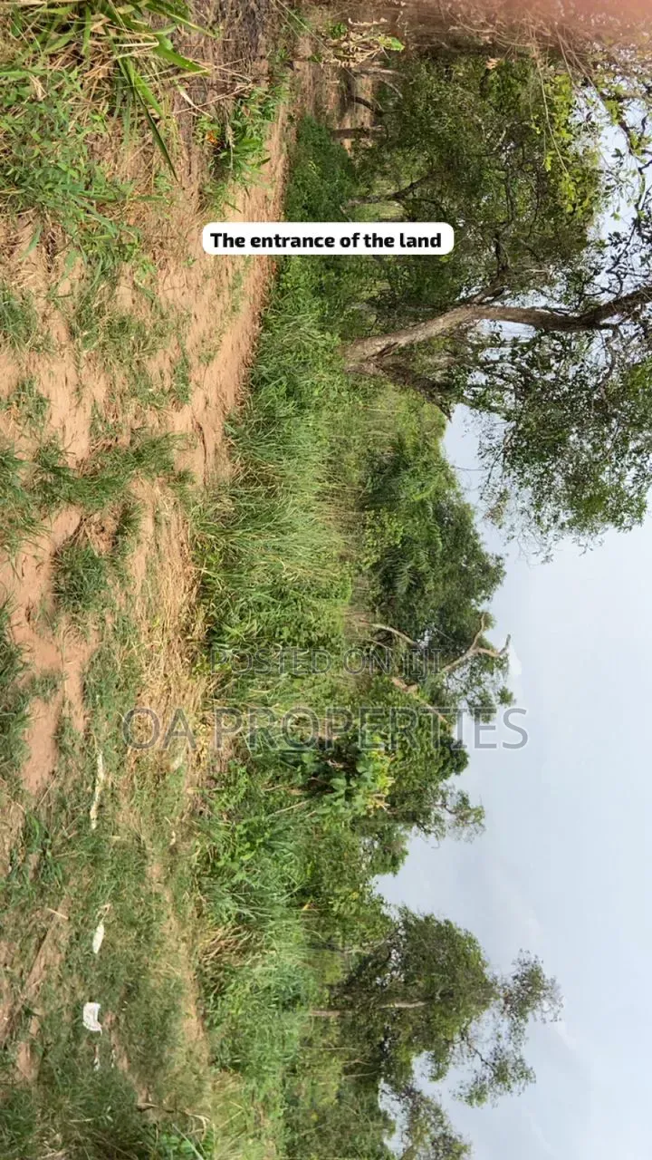 100 Acres of Land Is Available for Sale Sotunbo, Sagamu, Ogun State