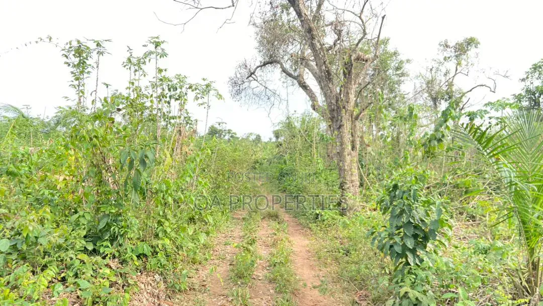 100 Acres of Land Is Available for Sale Sotunbo, Sagamu, Ogun State