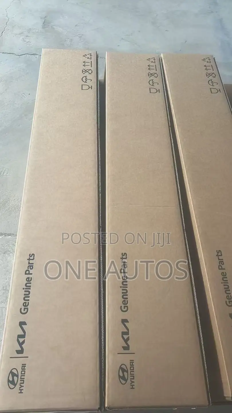 Hyundai/Kia Steering Rack