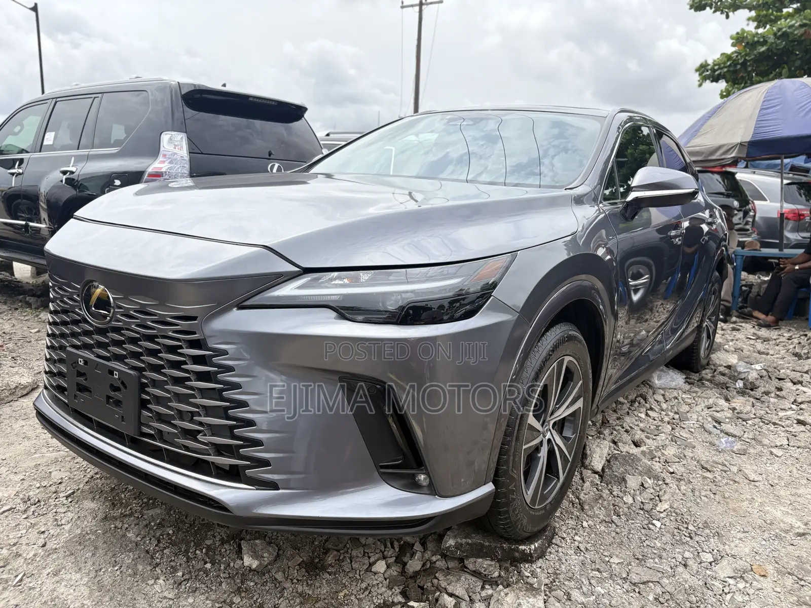 Lexus RX 350 Luxury AWD 2024 Gray