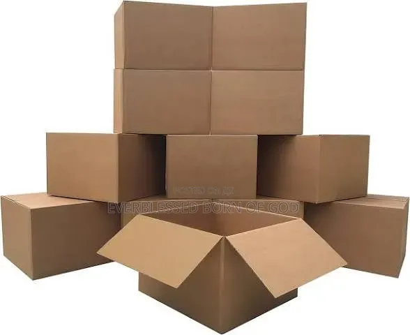 Safeguard Goods Moving Cartons