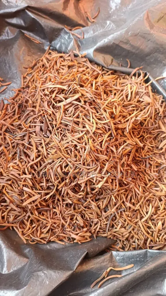Fresh and Dry Ugba (African Oil Bean Seed) Available – Clean Quality