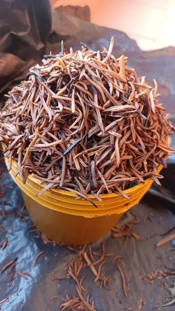 Fresh and Dry Ugba (African Oil Bean Seed) Available – Clean Quality
