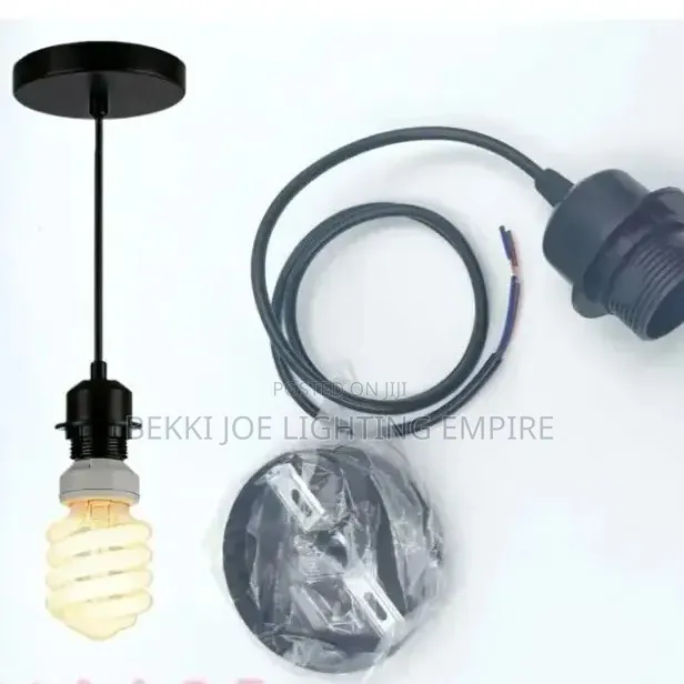 Drop Lampholder and Bulb