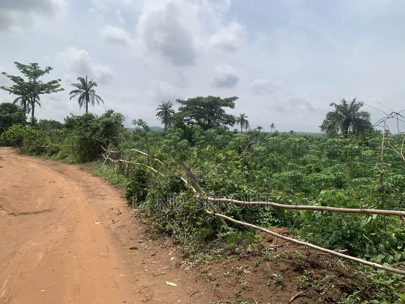 30 Acres of Land for Sale at Idi-Ayunre, Ibadan