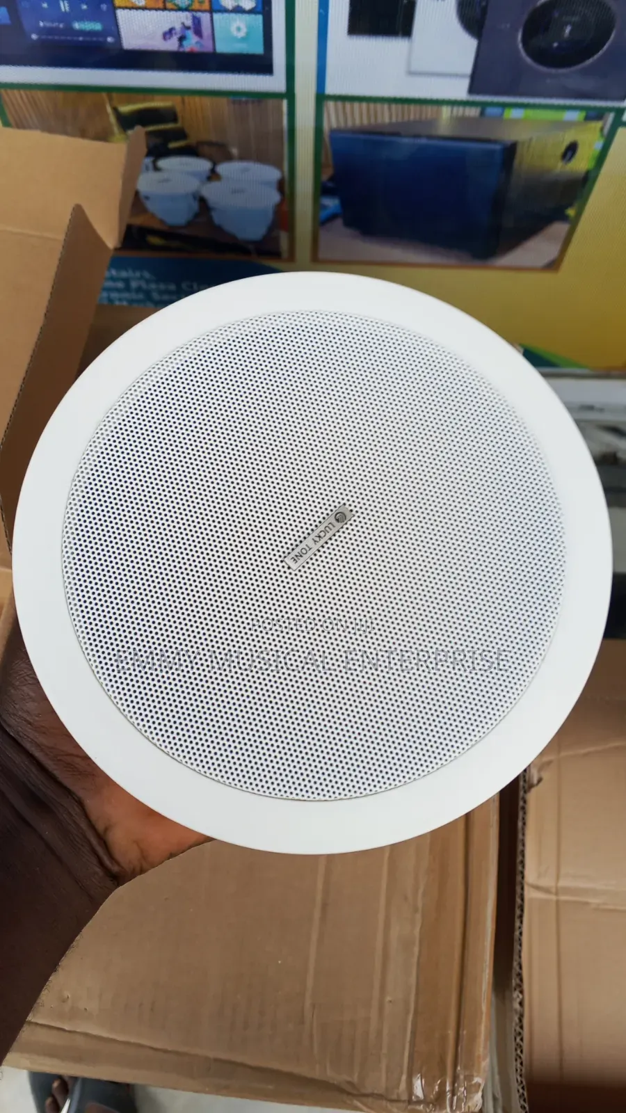 Passive Ceiling Speaker for Pop