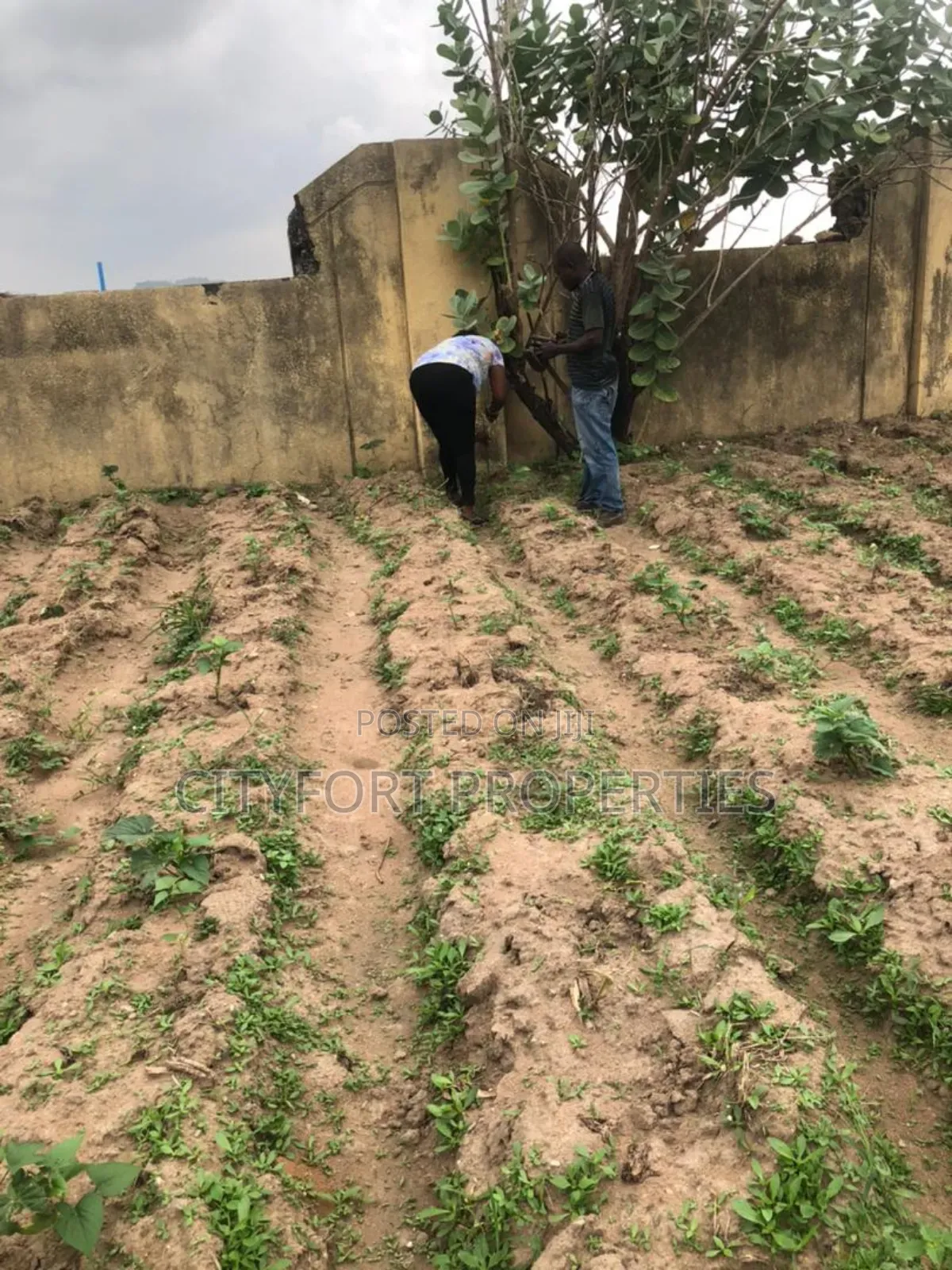 6000sqm Land Available at Kyamie for Sale
