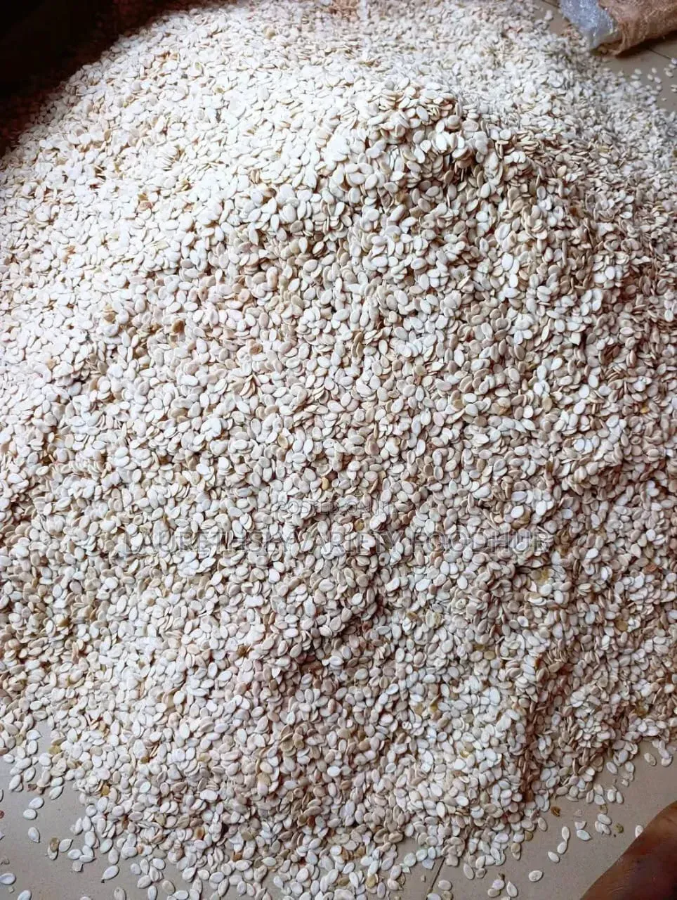 Buy Quality White Egusi (Hand-Peeled) – Big Seed | Wholesale Retail