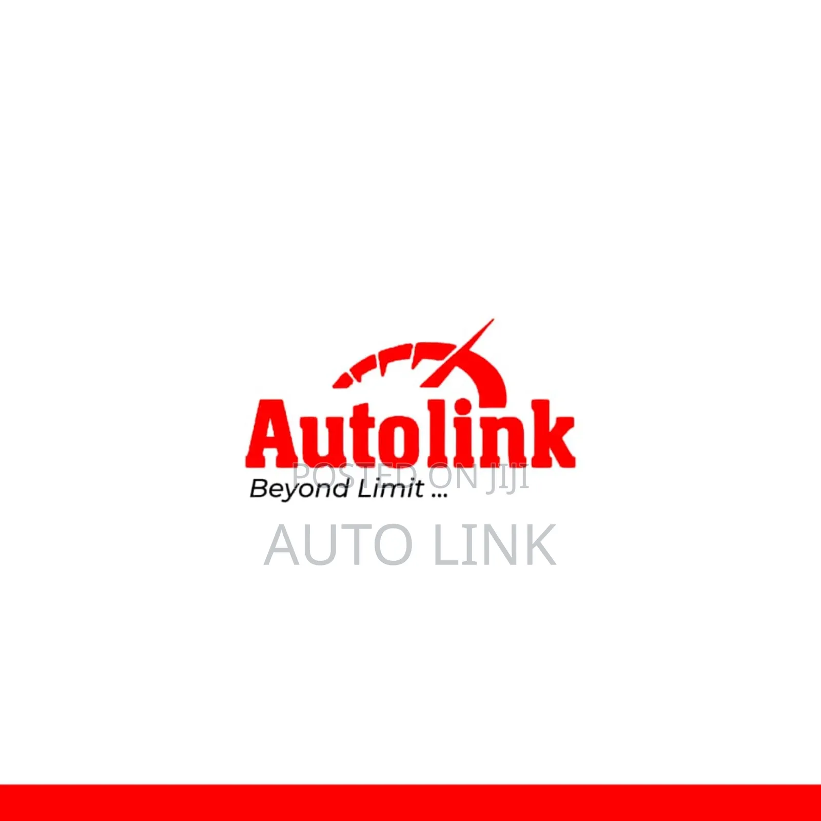 Manager in an Auto Firm