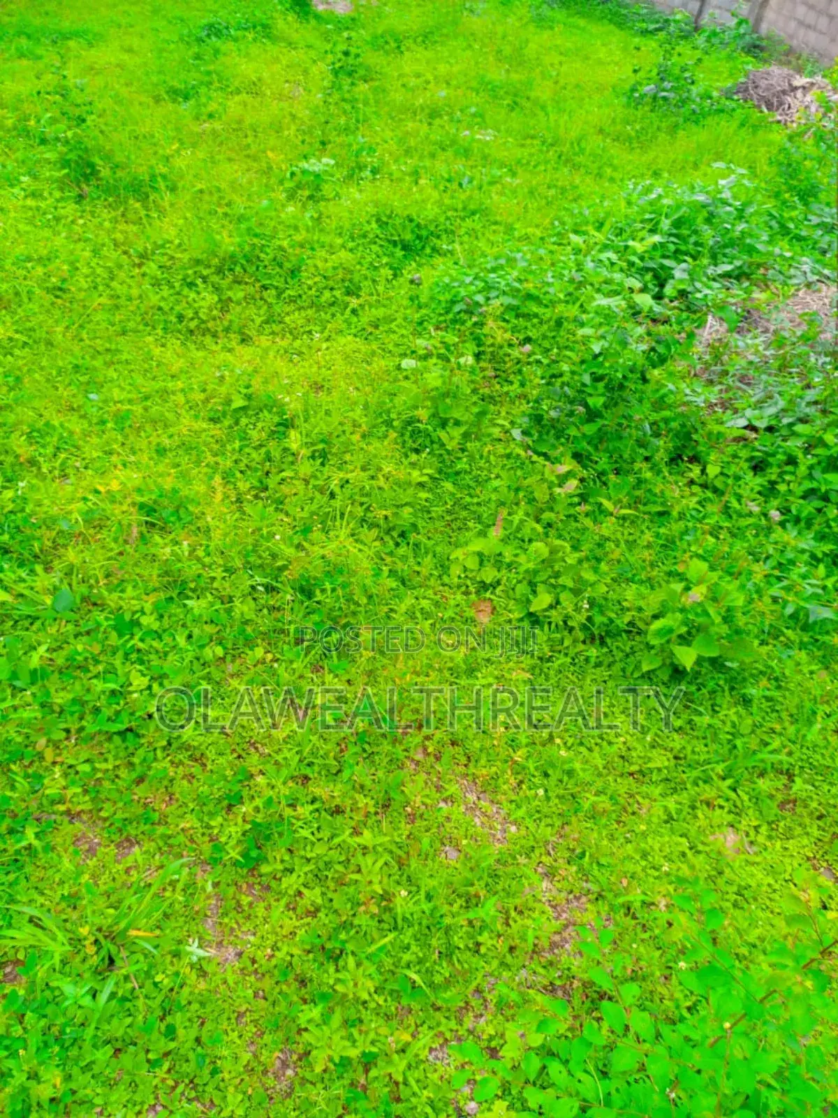 1000sqm Residential Land at Lere Adigun Gra, Bashorun