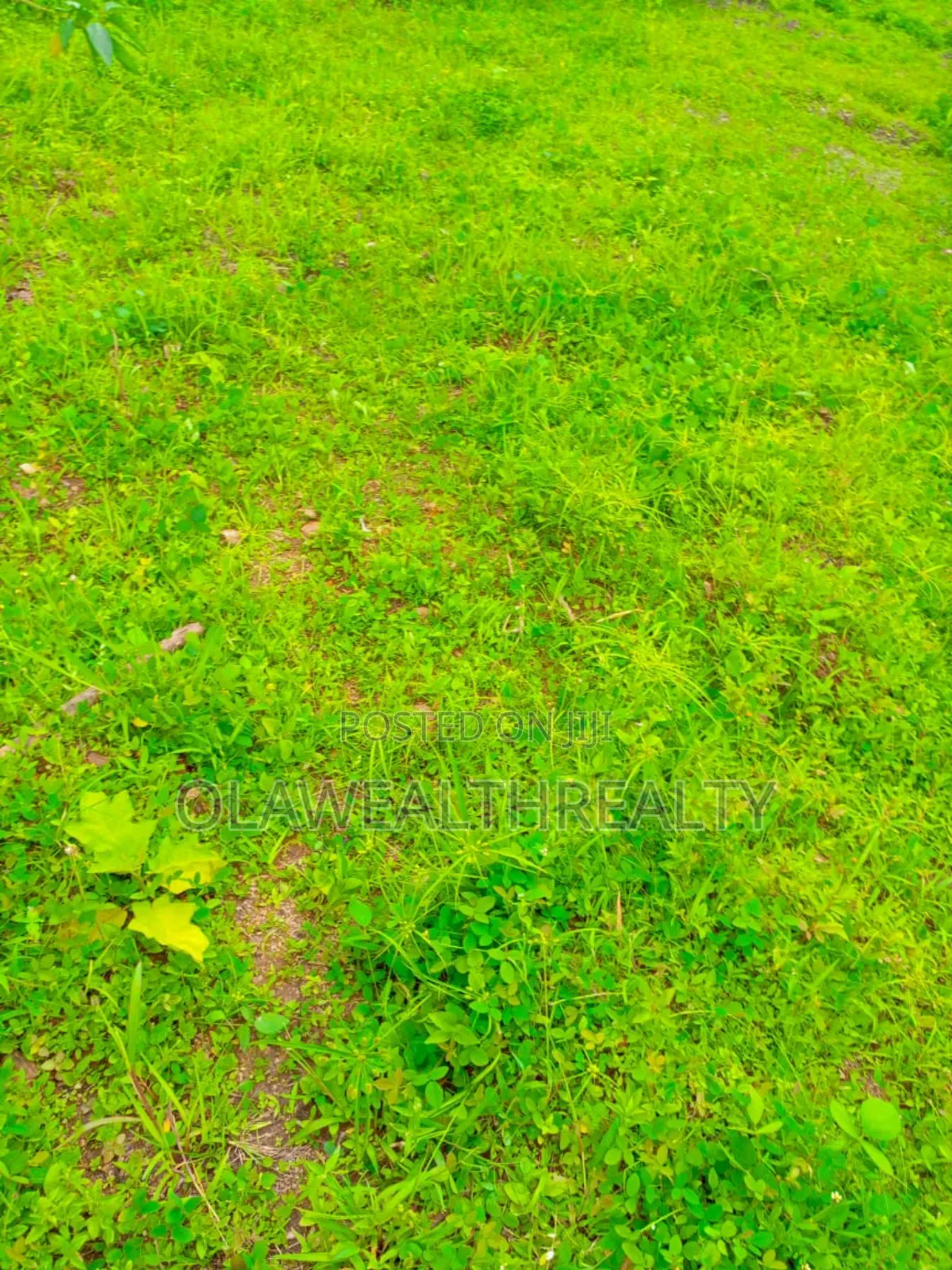 935sqm Residential Land at Lere Adigun Gra, Bashorun