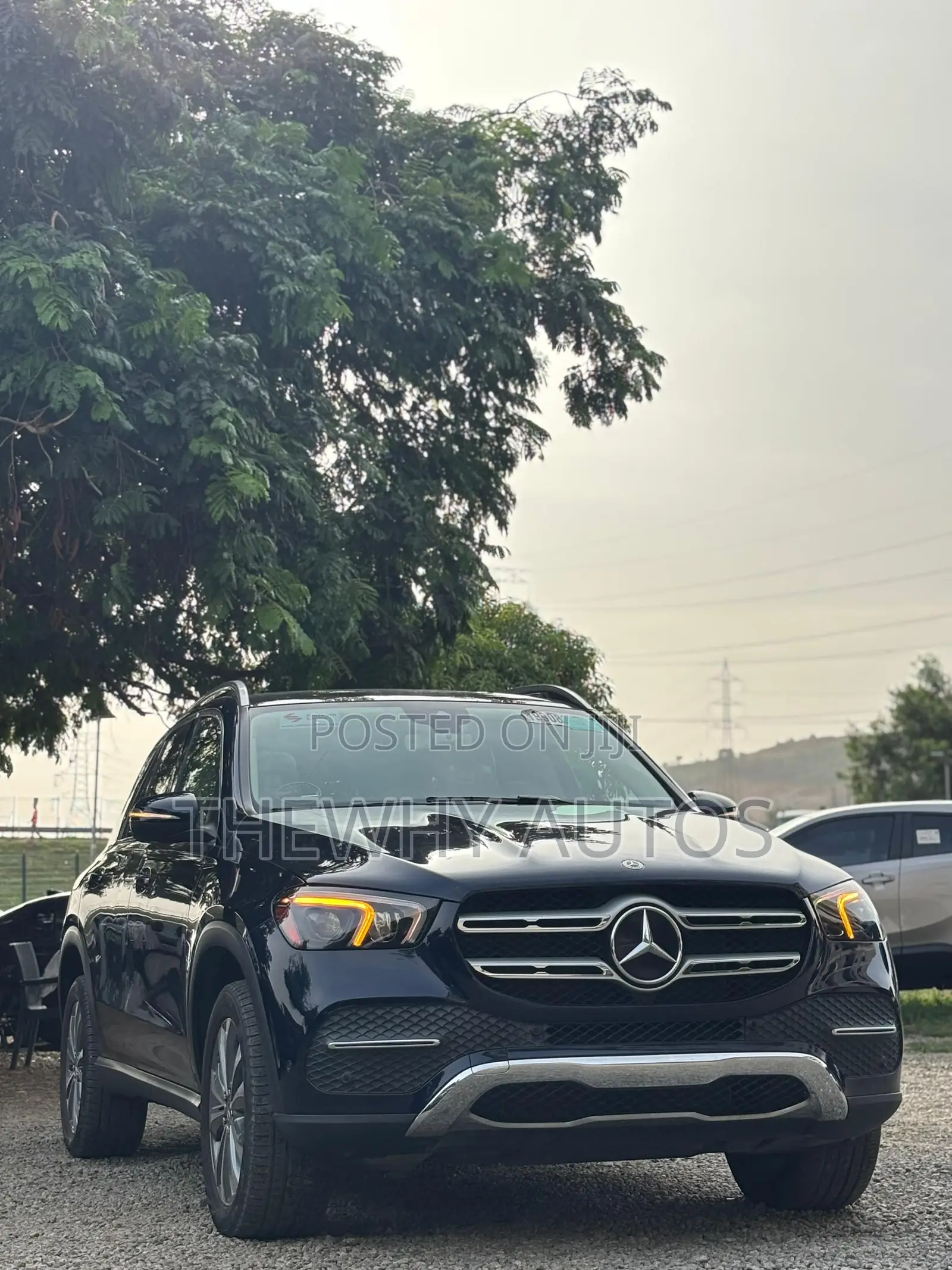 Mercedes-Benz GLE-Class GLE 350 2020 Blue