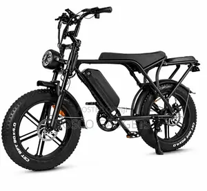 Off-Road Fat Tyre Electric Dirt Bike