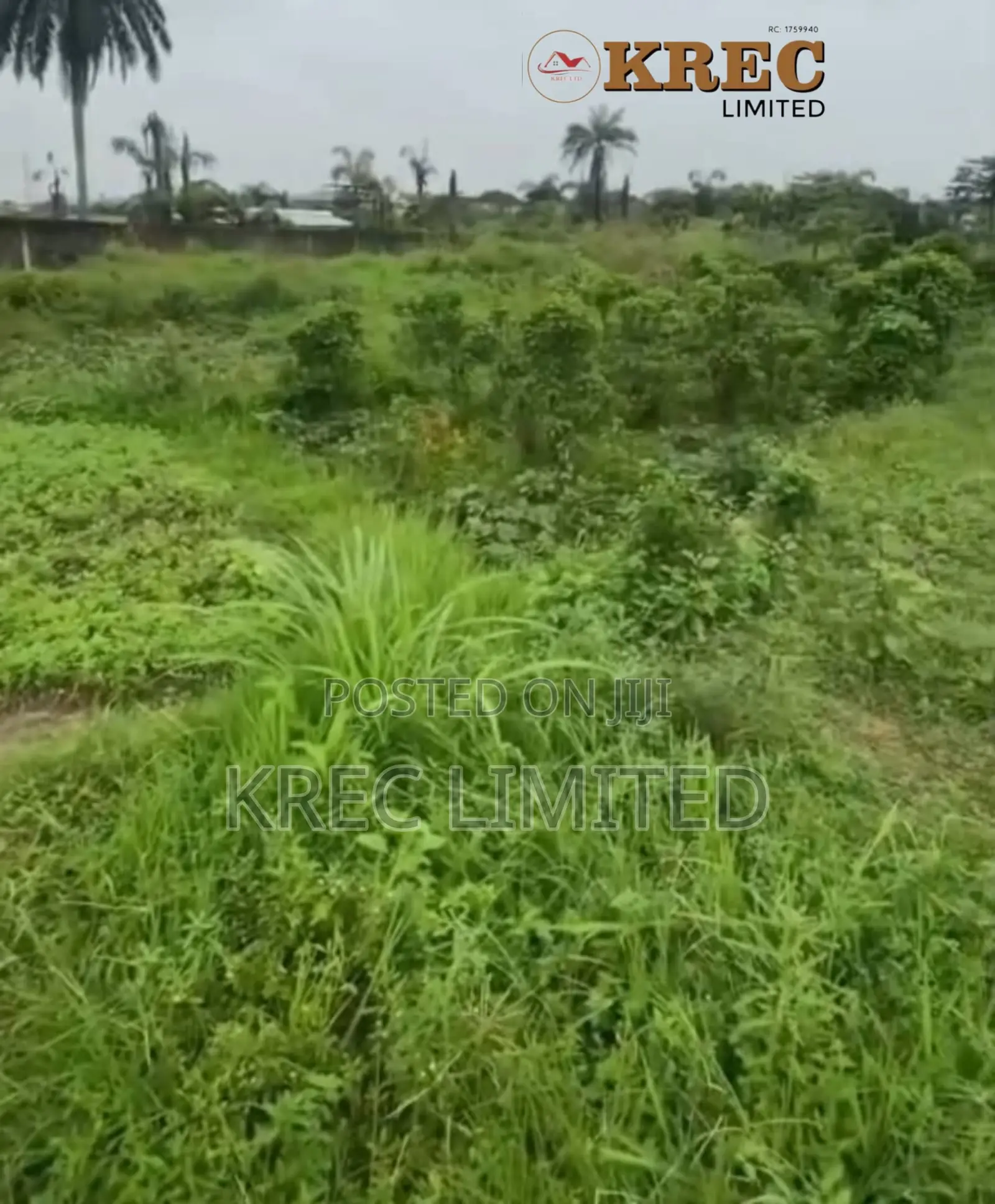 Deed of Conveyance at Ada George New Road