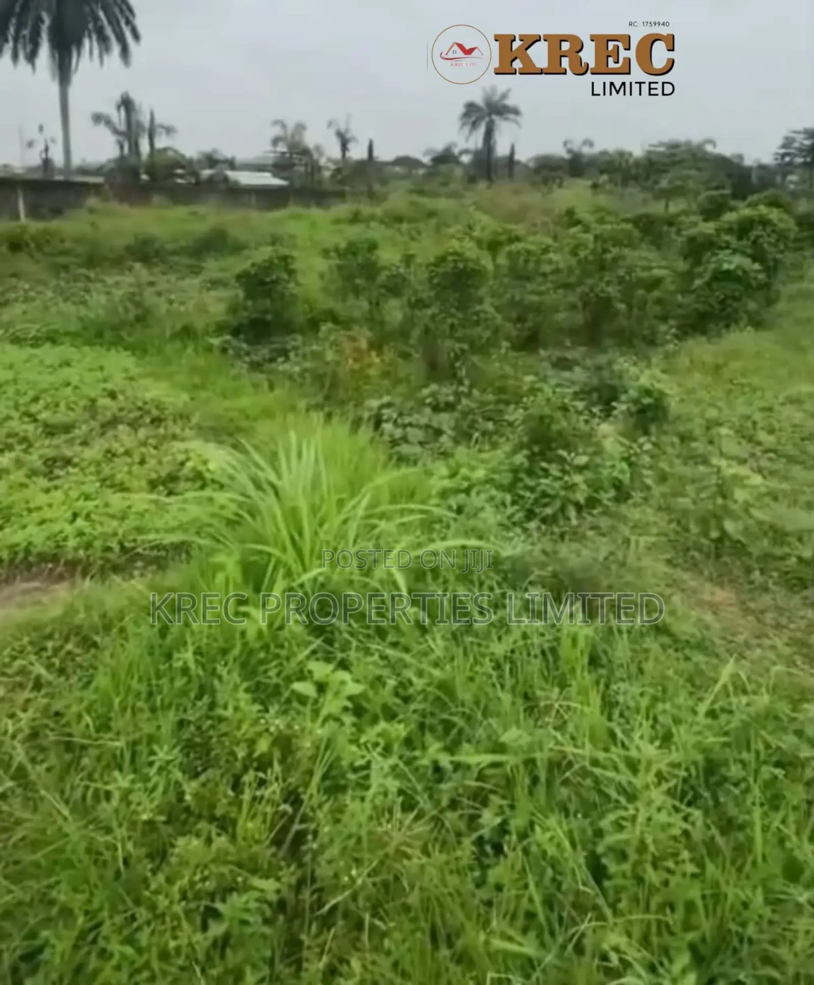 Deed of Conveyance at Ada George New Road