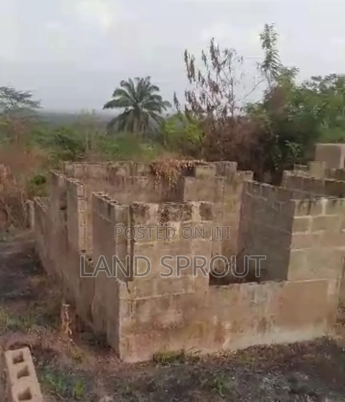 Price Slash Now 4m Naira You Can Own This Project at Ijoko