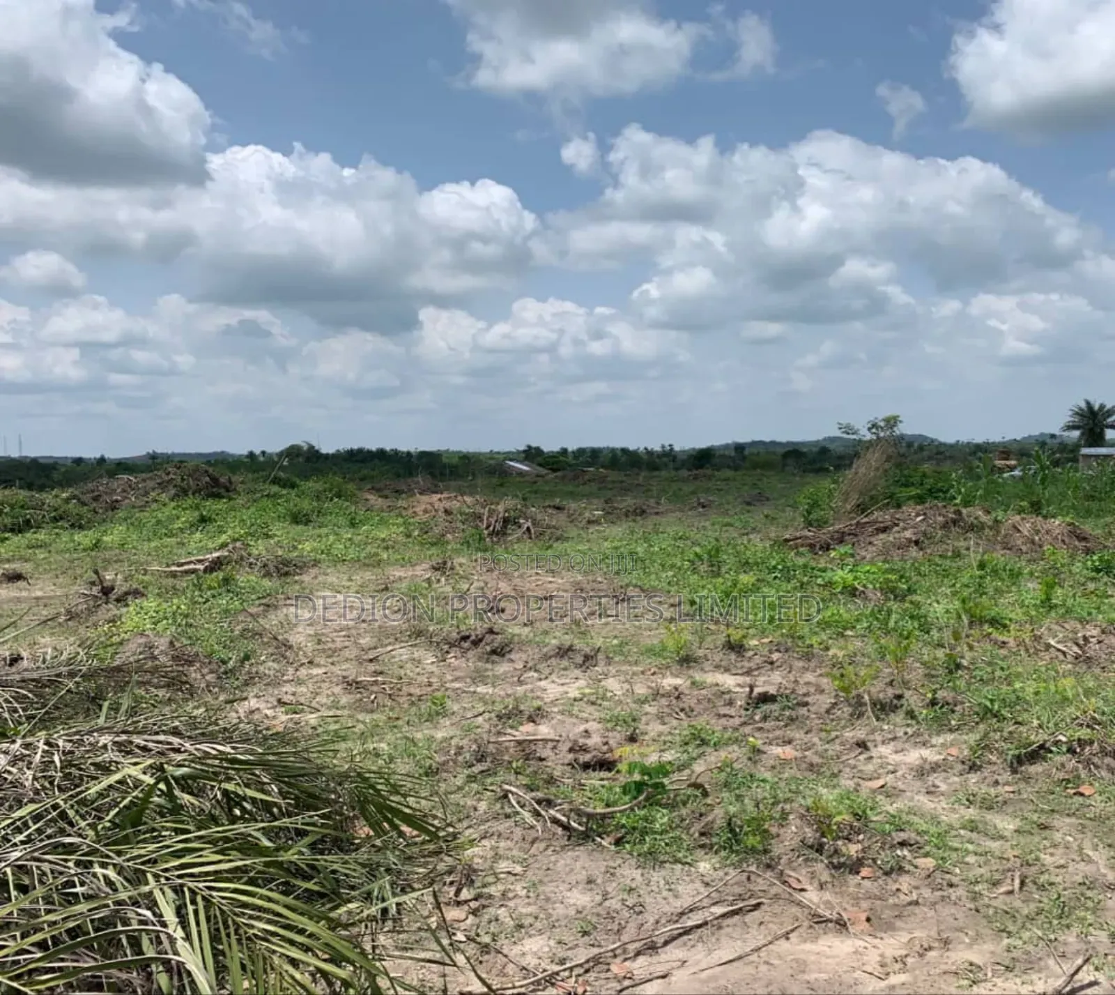 Elerangbe Land With Excision