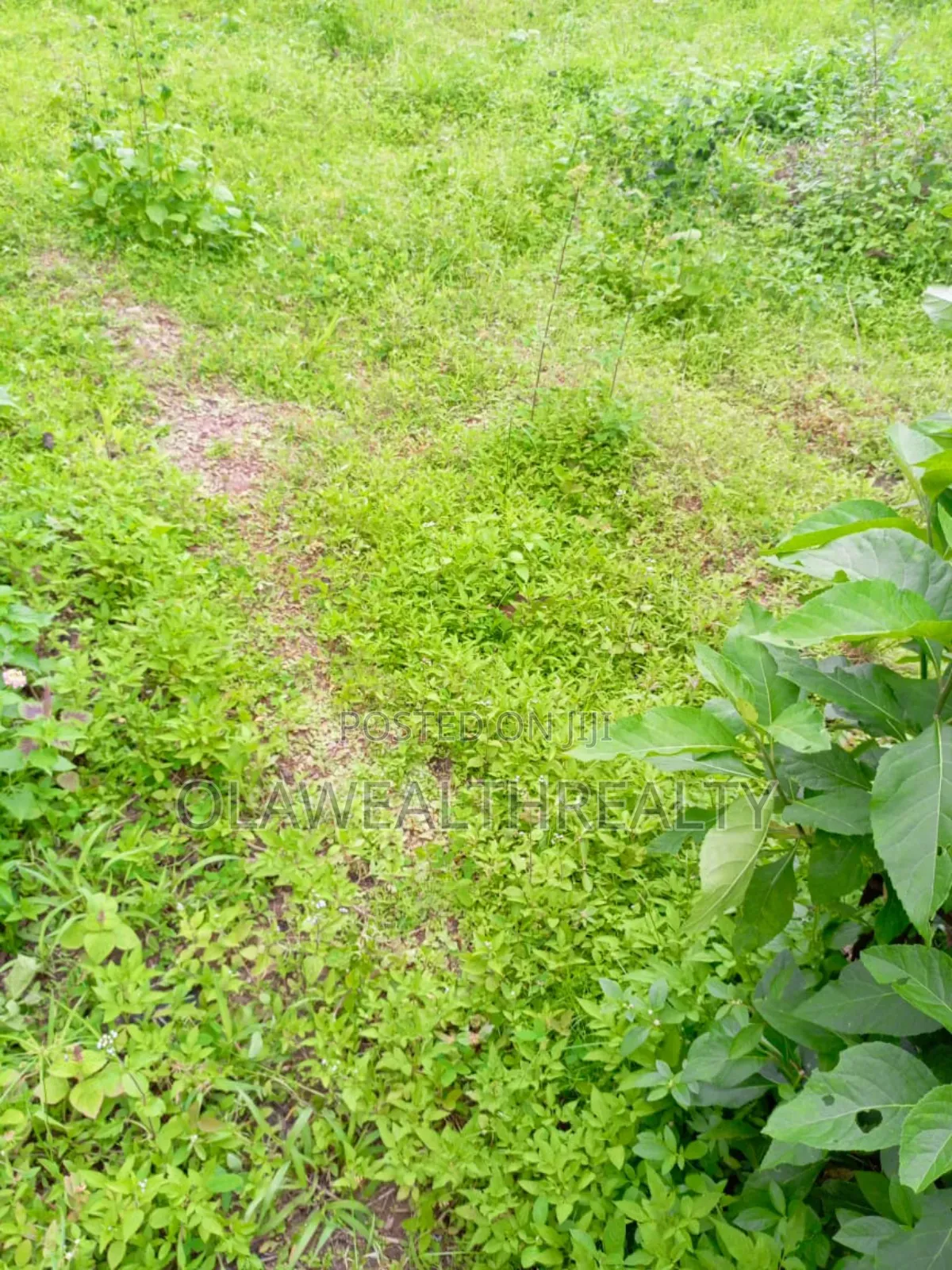 1600sqm Residential Land at Engr Lere Adigun Gra, Bashorun