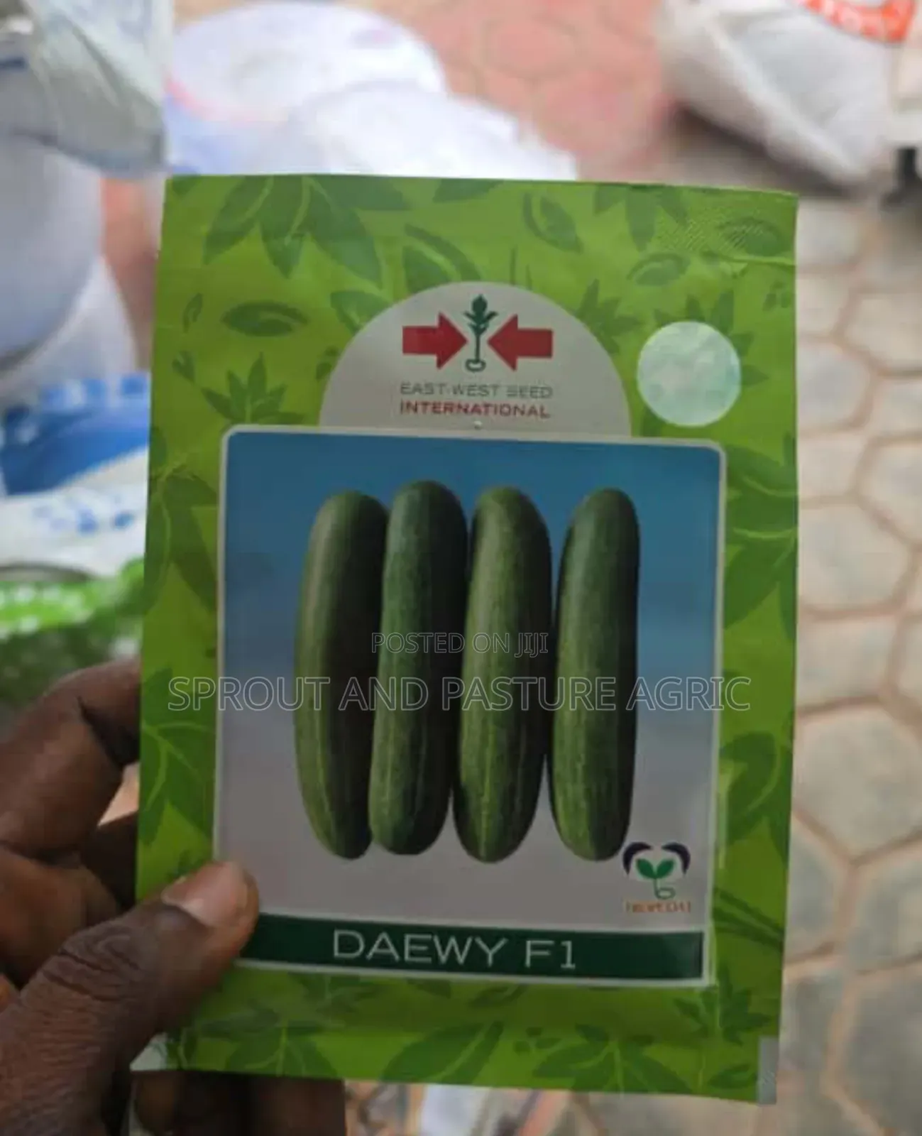 Daewy Cucumber Seeds
