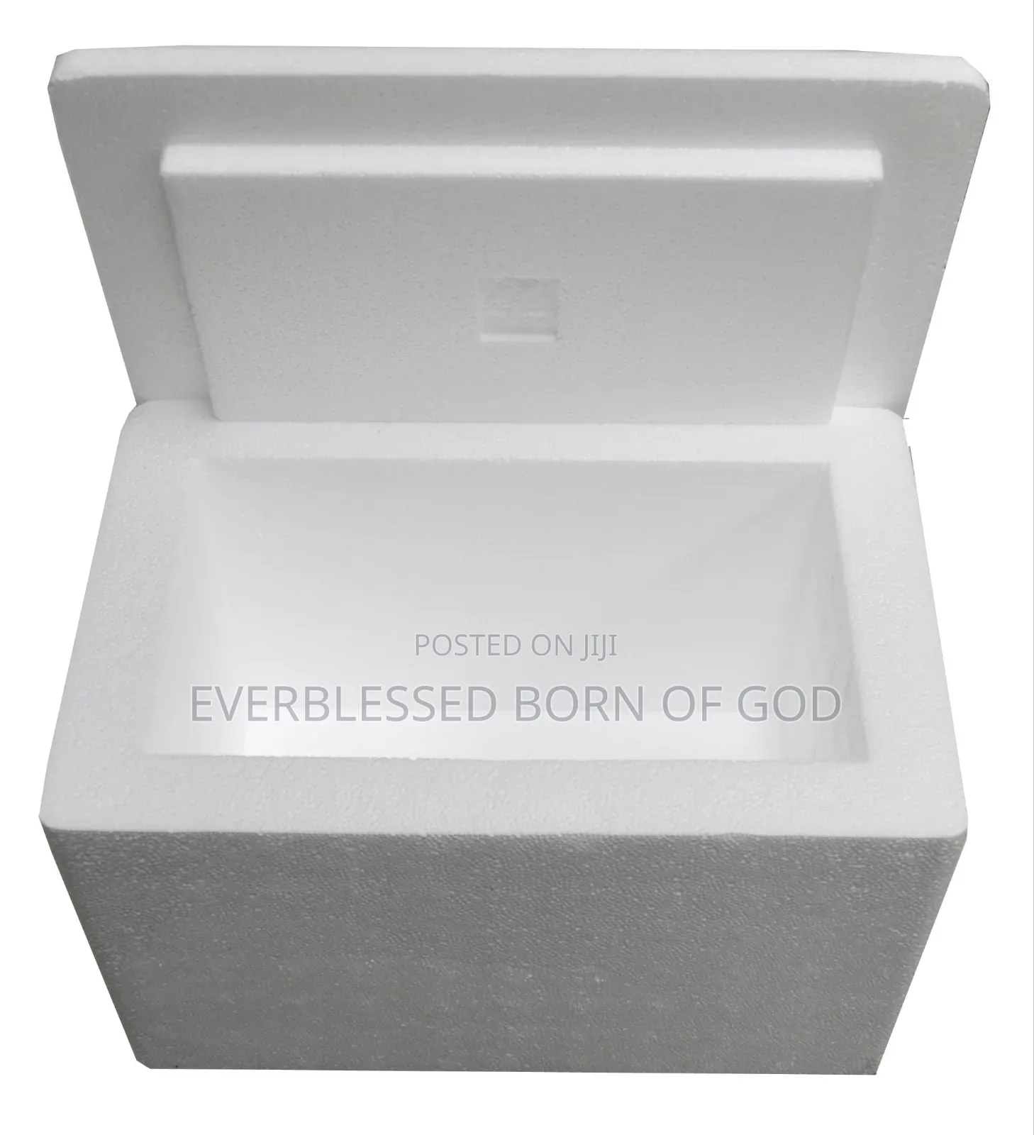 Safeguard Styrofoam Cooler for Shipping and Storing Items