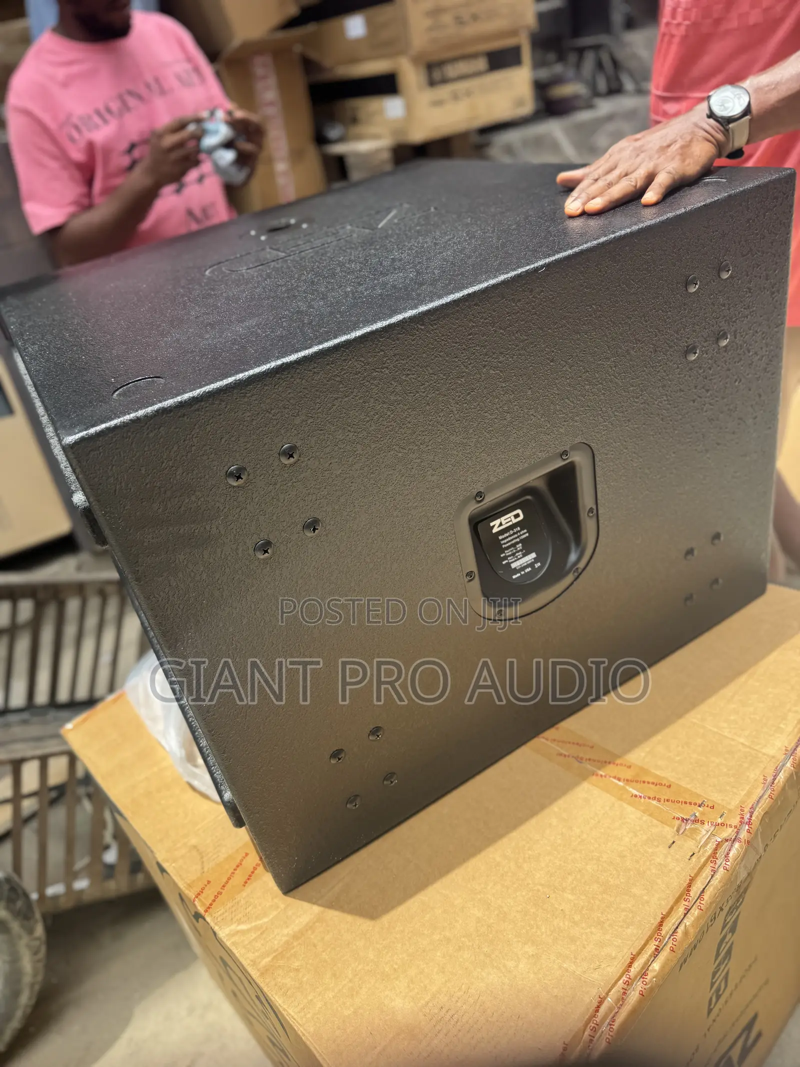 Zed D-318 Single Subwoofer