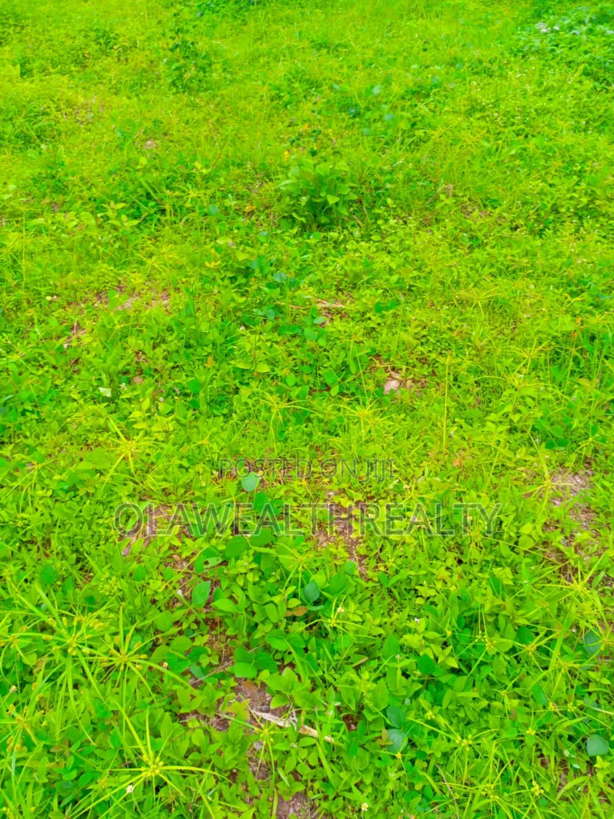 1278sqm Residential Land at Park Manor Estate, Samonda