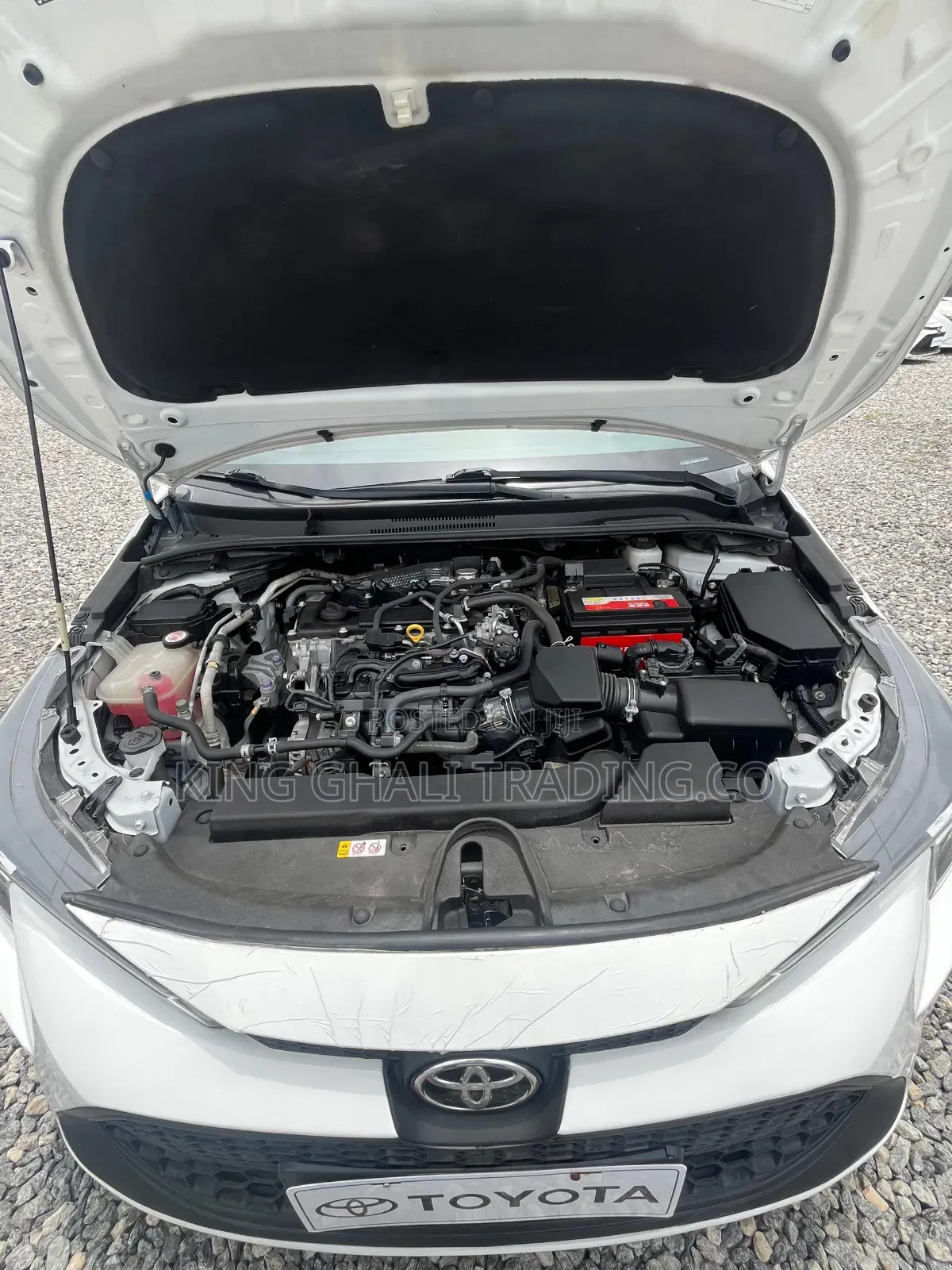Toyota Corolla 2022 White