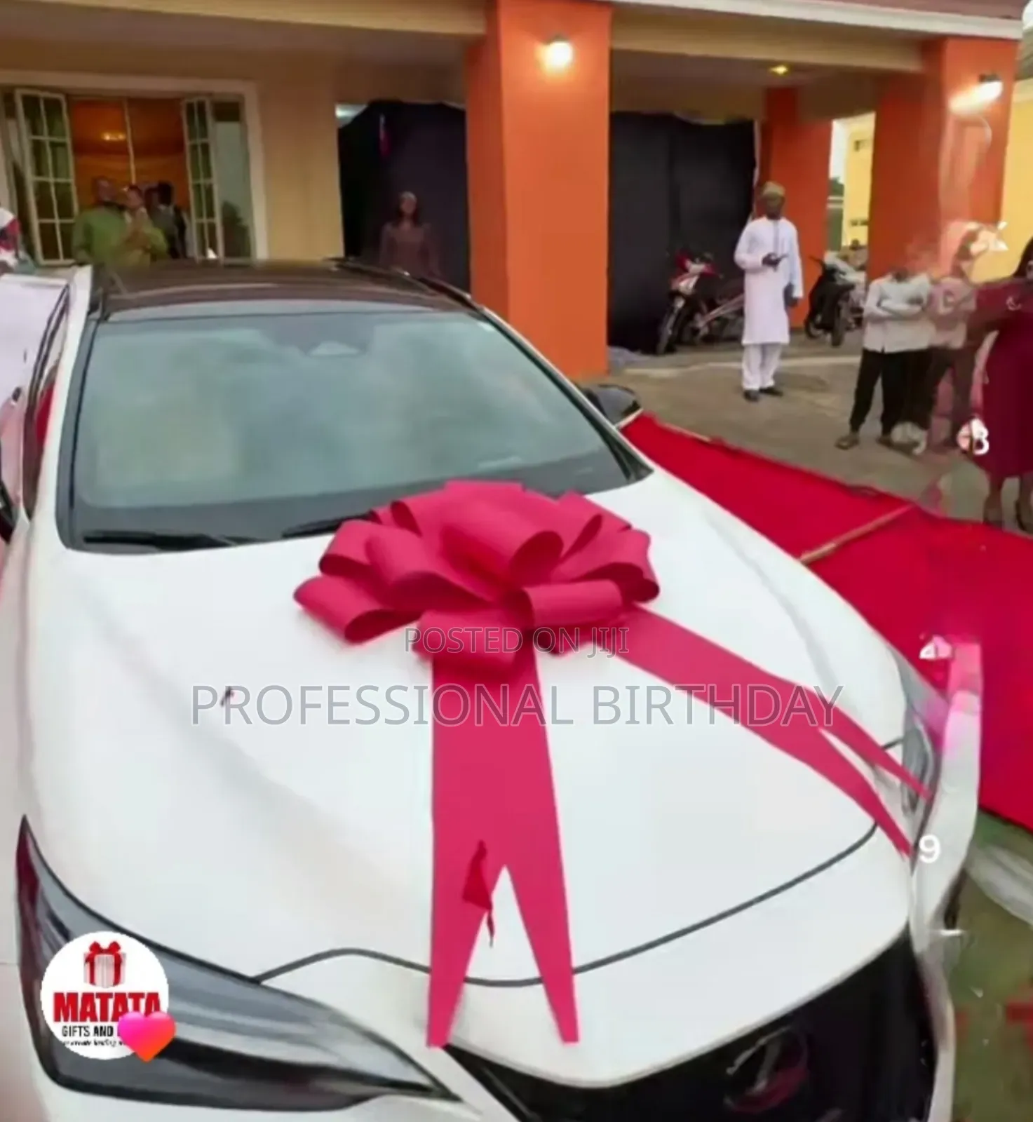 Lagos Cars Fabric or Ribbon Car Bow Auto