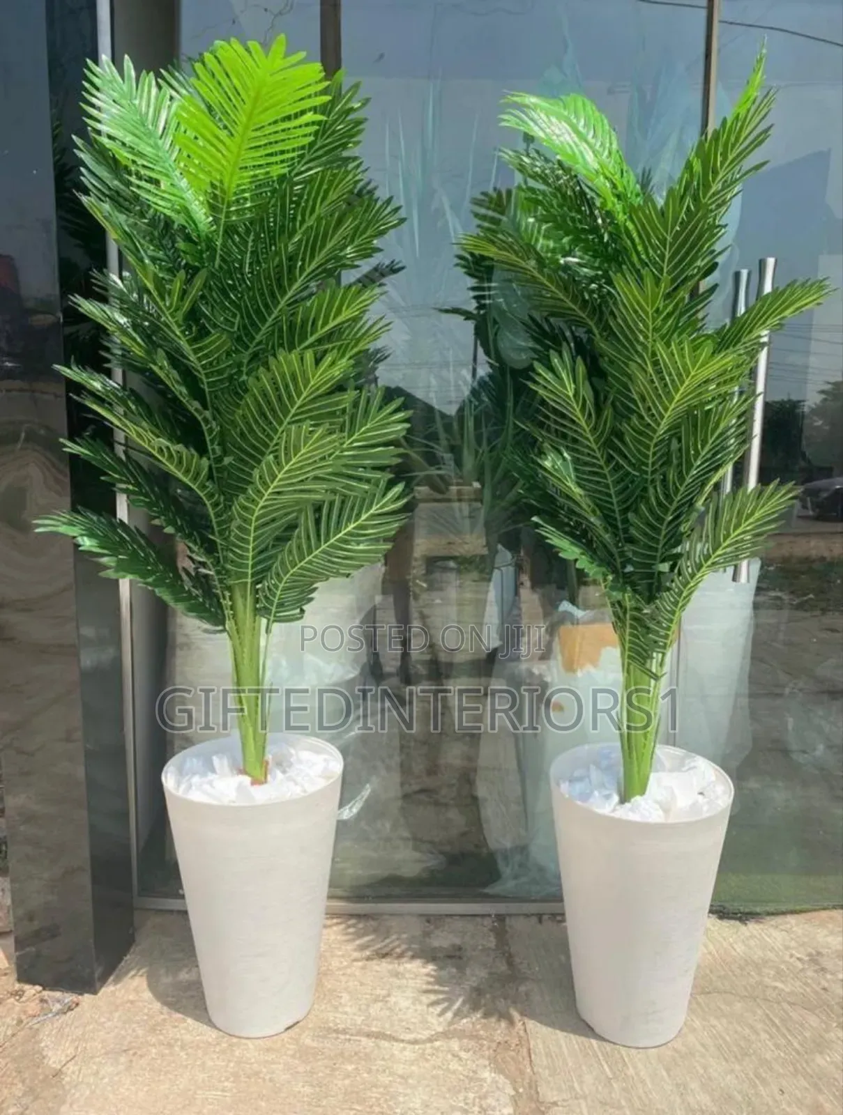 Beautiful Potted Flowers