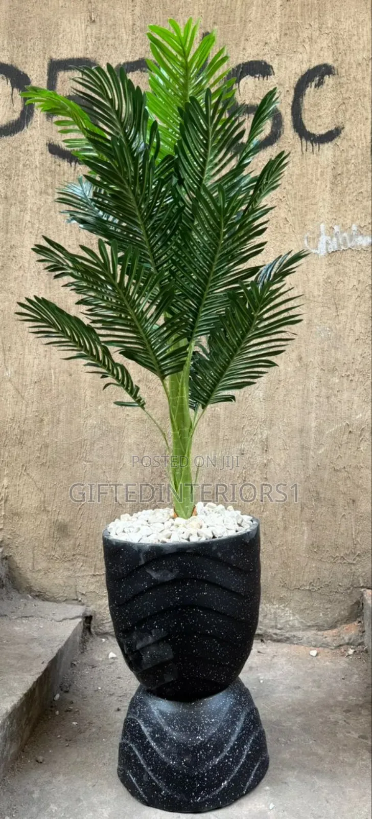 Beautiful Potted Flowers