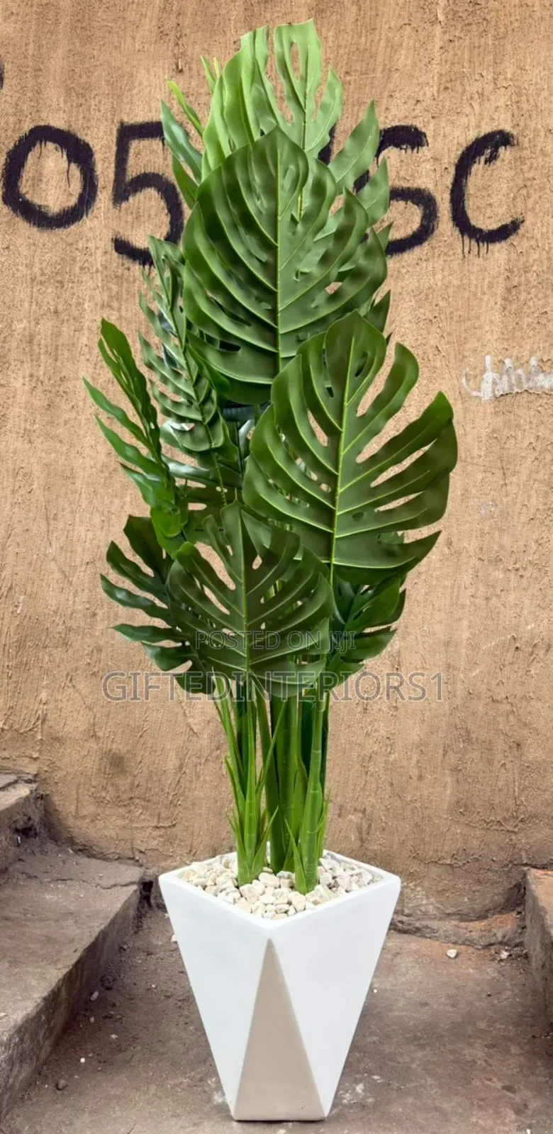 Beautiful Potted Flowers