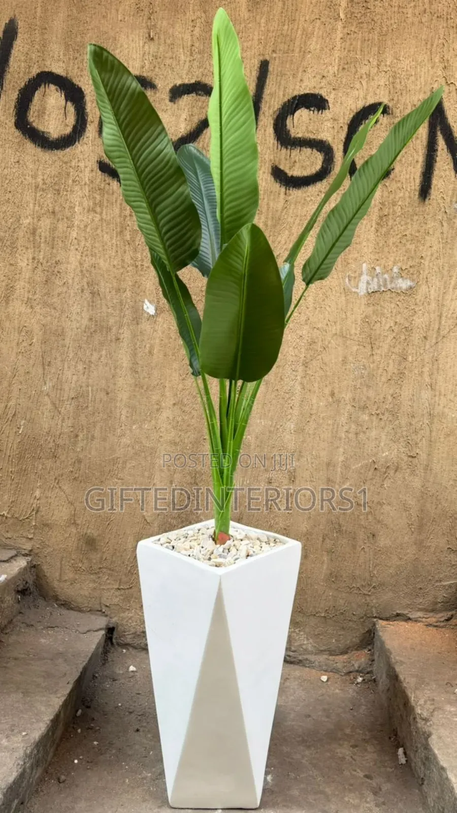 Beautiful Potted Flowers