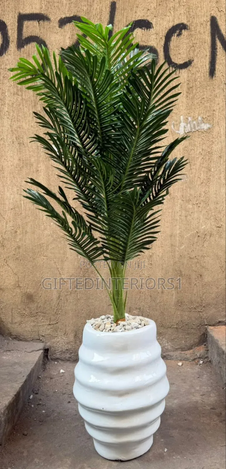 Beautiful Potted Flowers