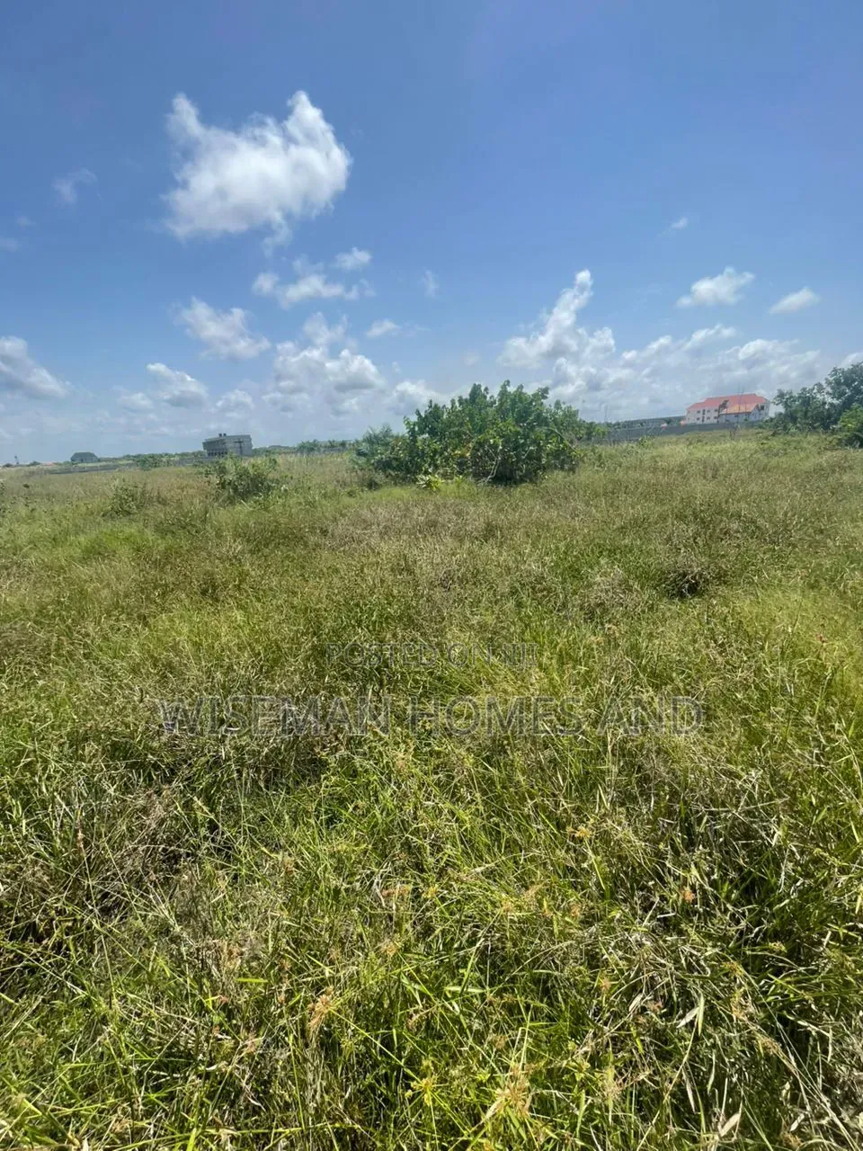 Sharp Dry Land