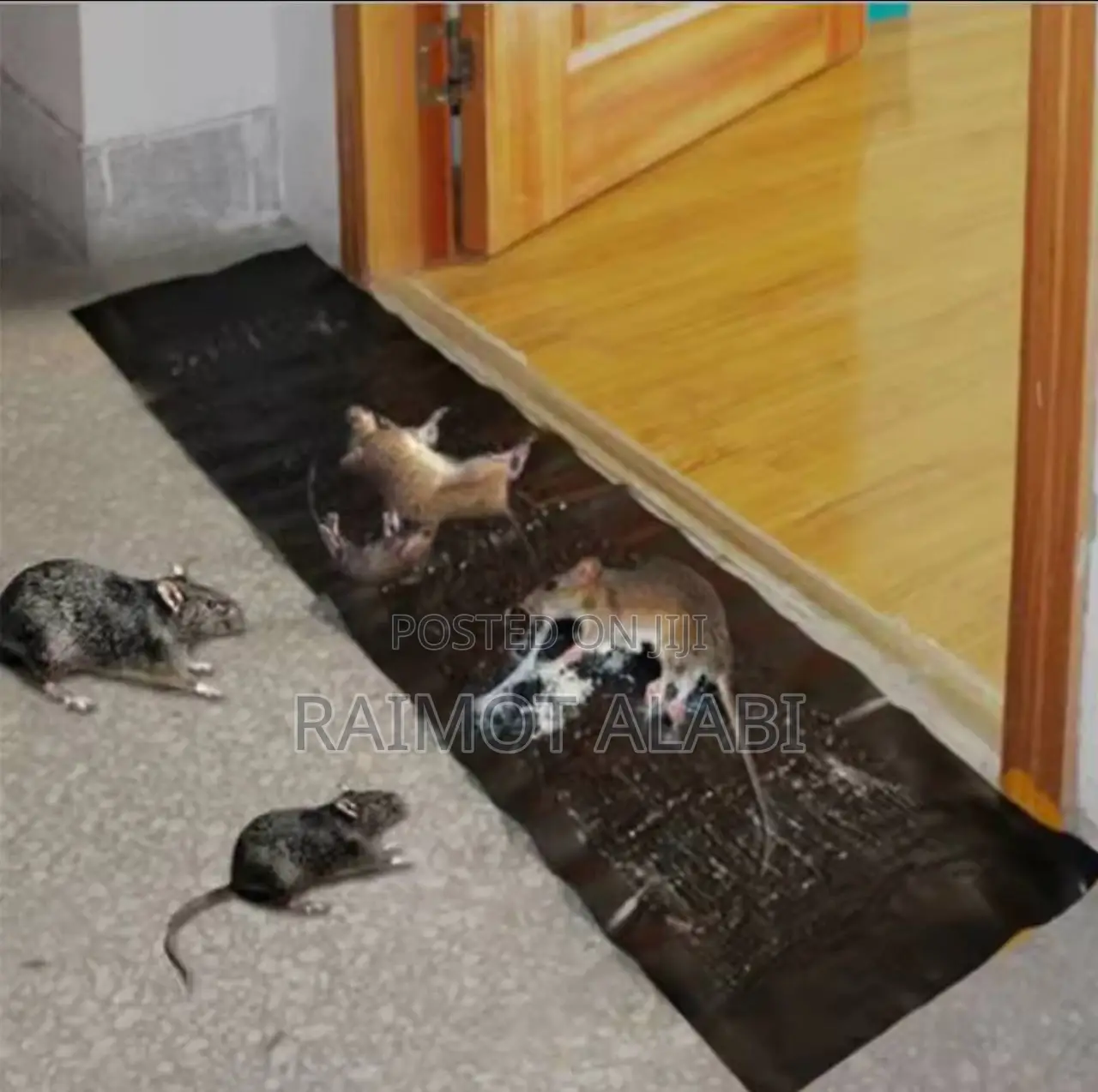 Sticking Rat Board