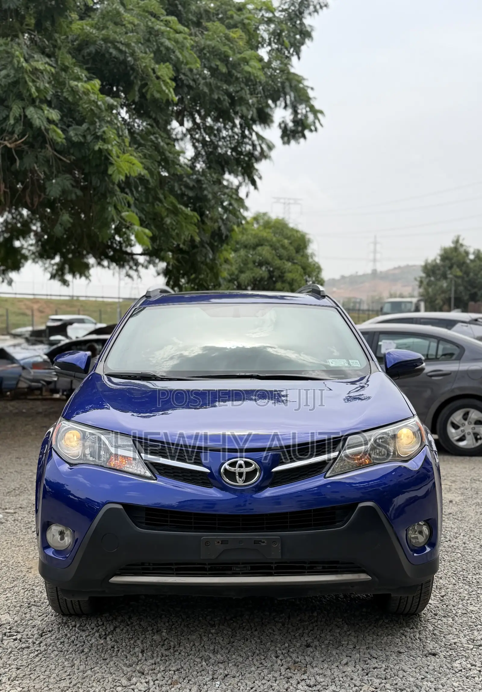 Toyota RAV4 XLE AWD (2.5L 4cyl 6A) 2016 Blue
