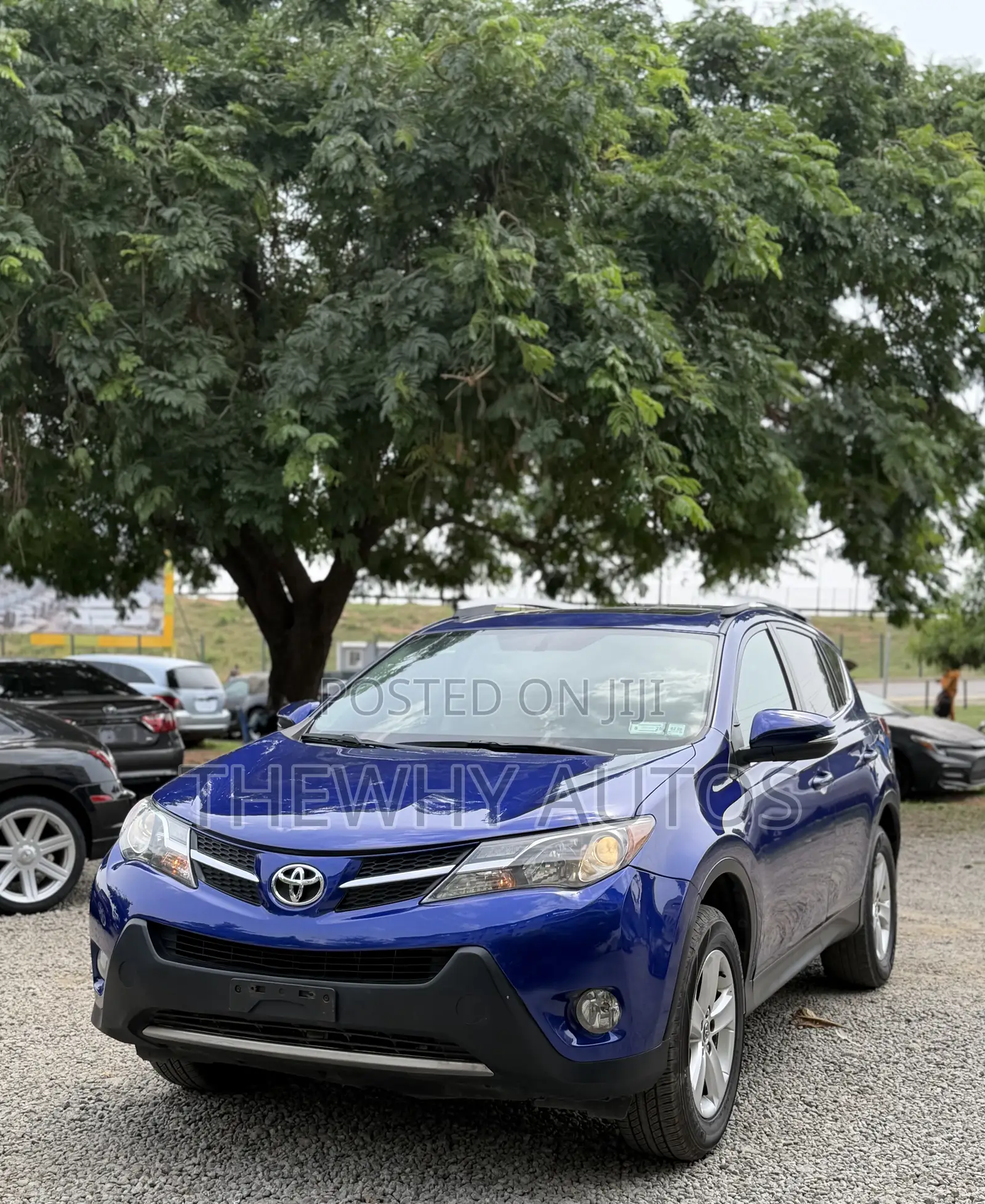 Toyota RAV4 XLE AWD (2.5L 4cyl 6A) 2016 Blue