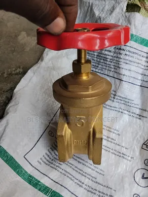 3" Original JFN Italy Brass Gate Valve