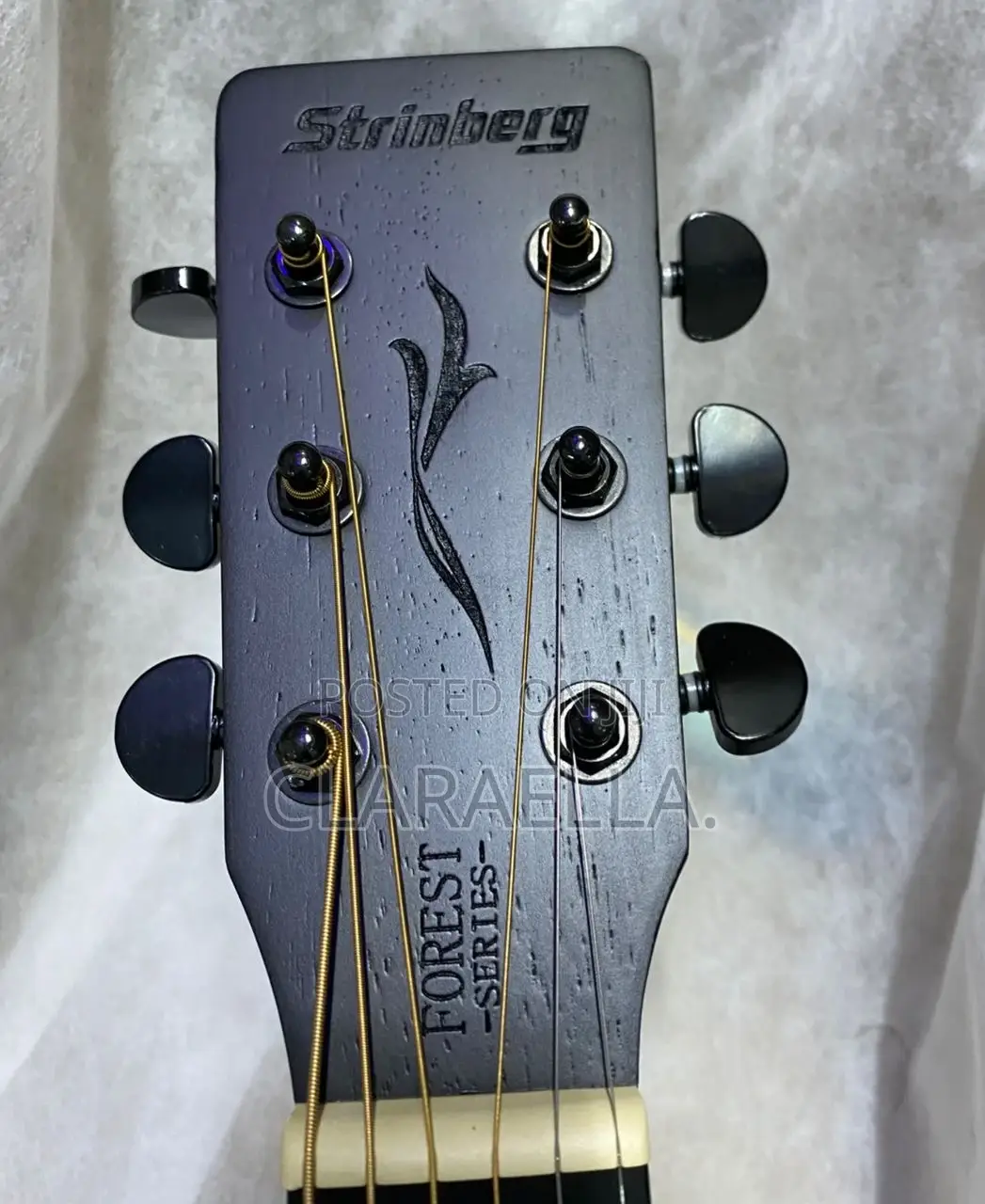 Strinberg Forest Series Electro-Acoustic Guitar